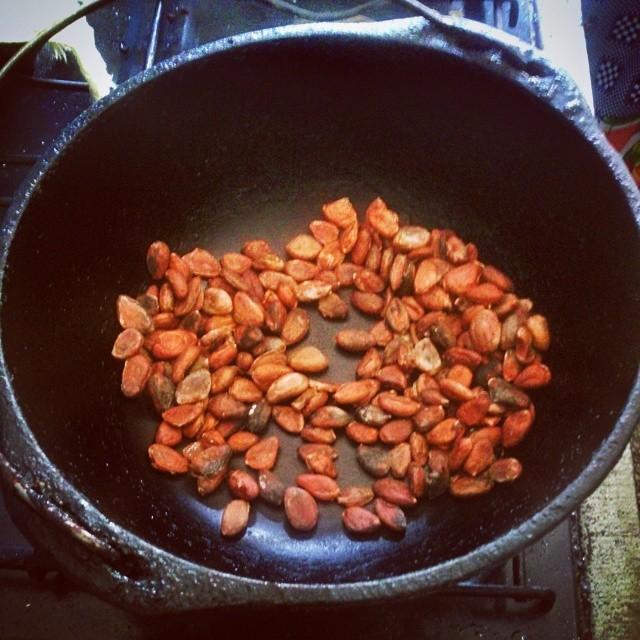 Comparing Cacao and Traditional Chocolate