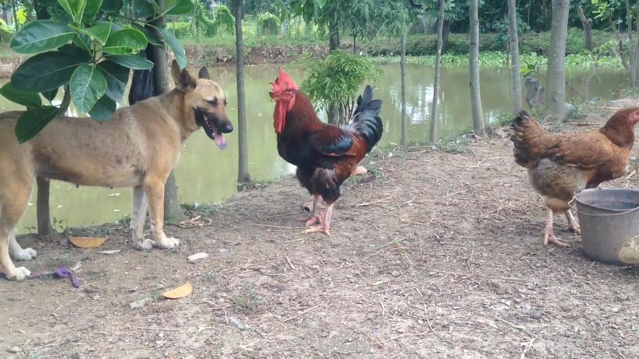 Mastering Portion Control with Pre-Portioned Meals