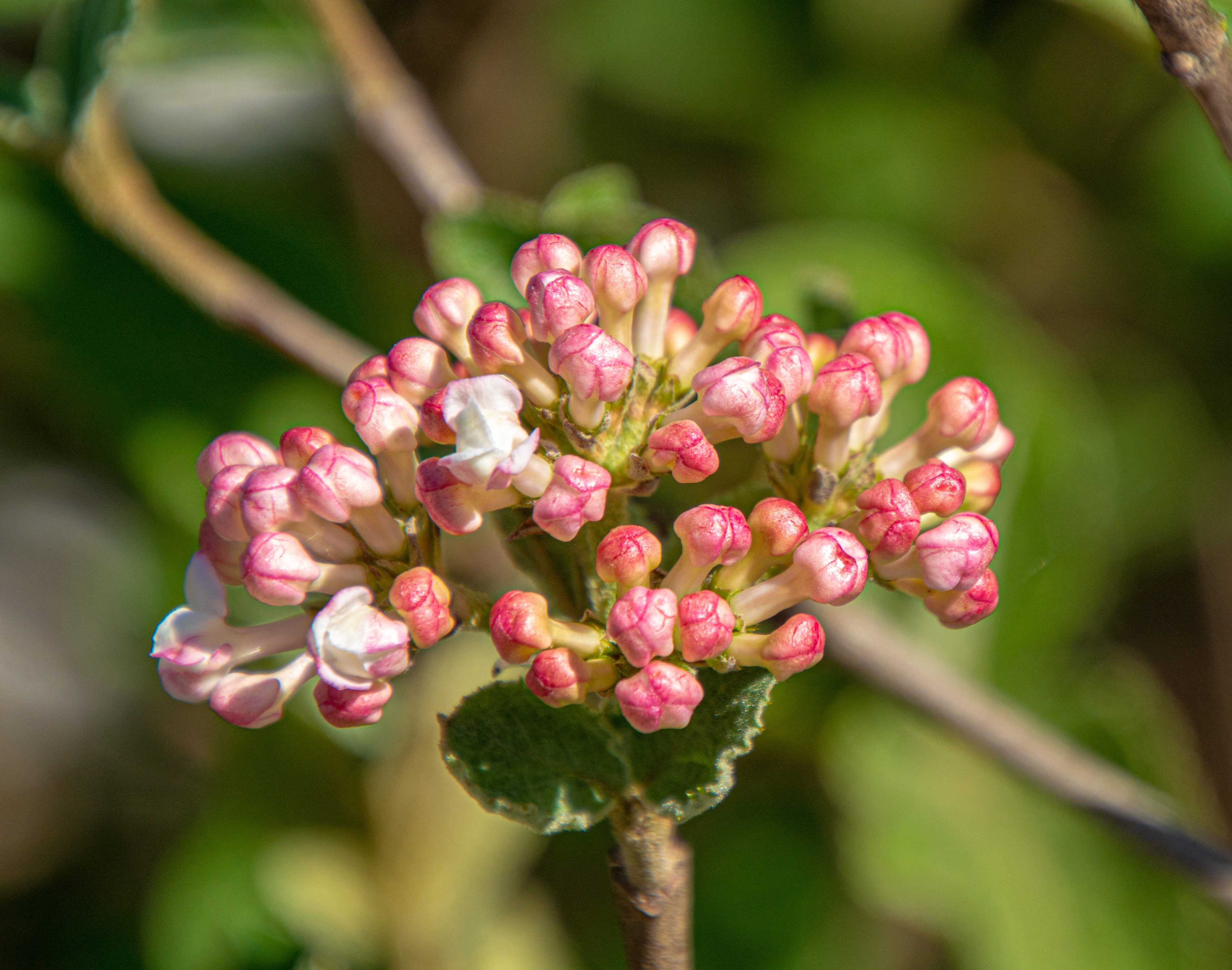 1. Spicing Up Your Culinary Repertoire: The Art of Cooking with Herbs