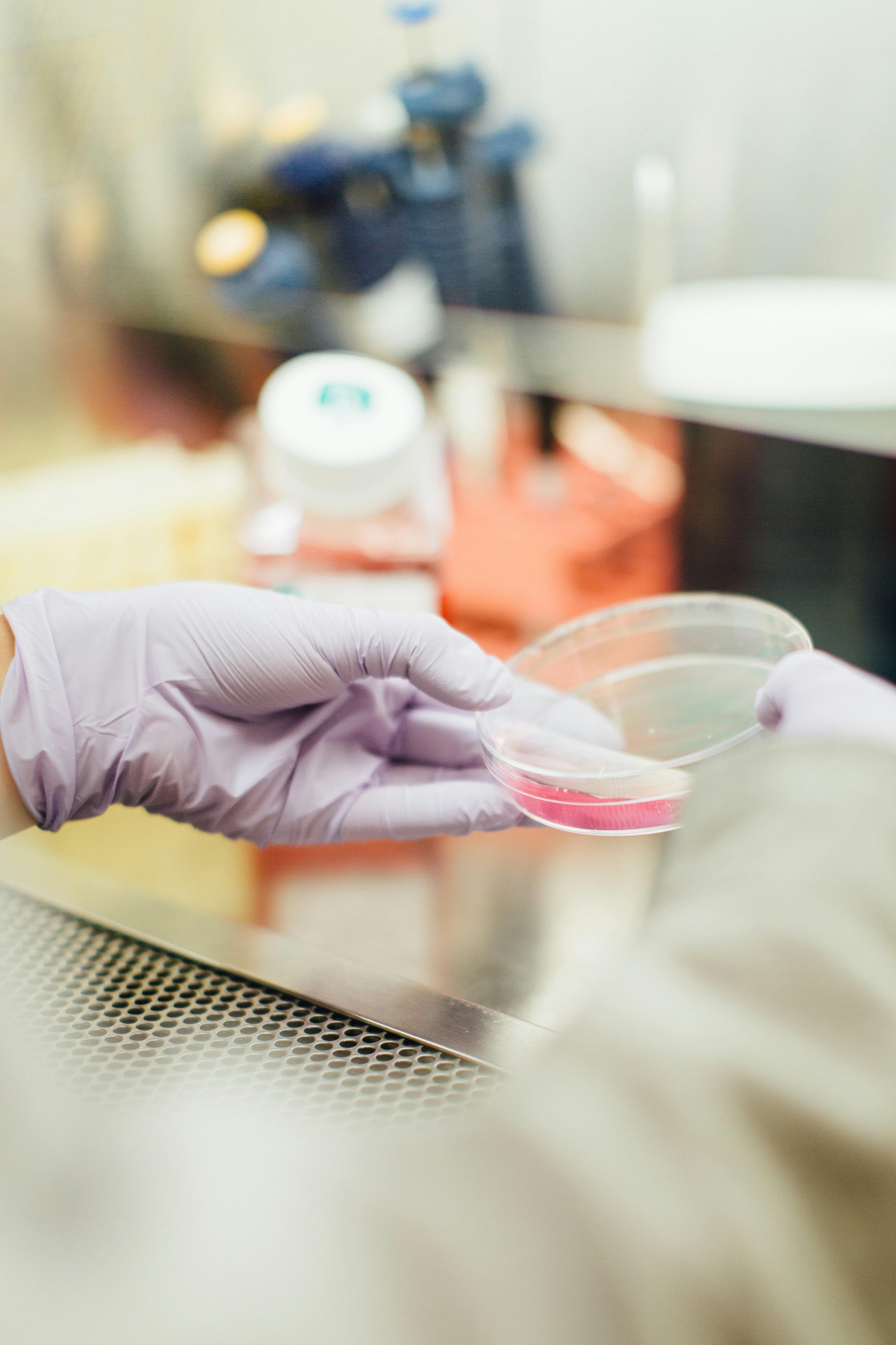 The Science Behind Hydration and Metabolism