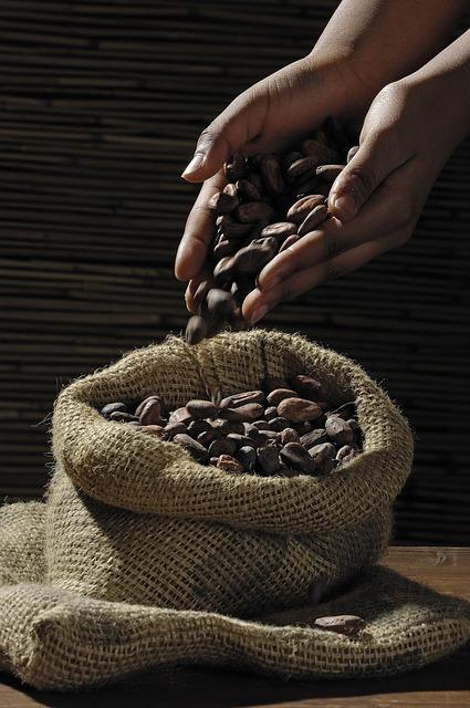 Expert Recommendations for Incorporating Cacao into Your Diet