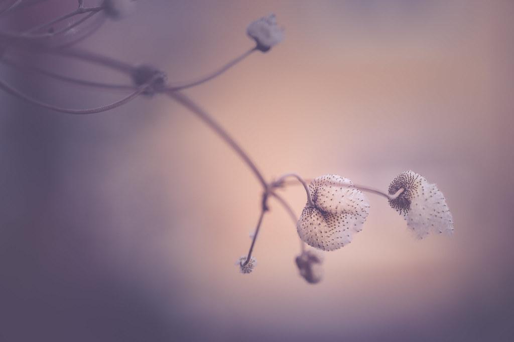 Enhancing Texture: Secrets to a Smooth and Creamy Consistency