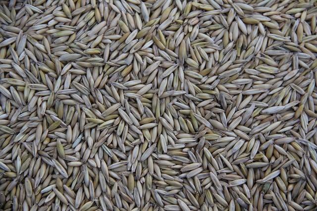 Exploring the Nutritional Power of Ancient Grains