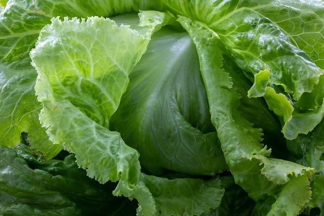 Green Giants: Leafy Vegetables for Optimal Muscle Growth