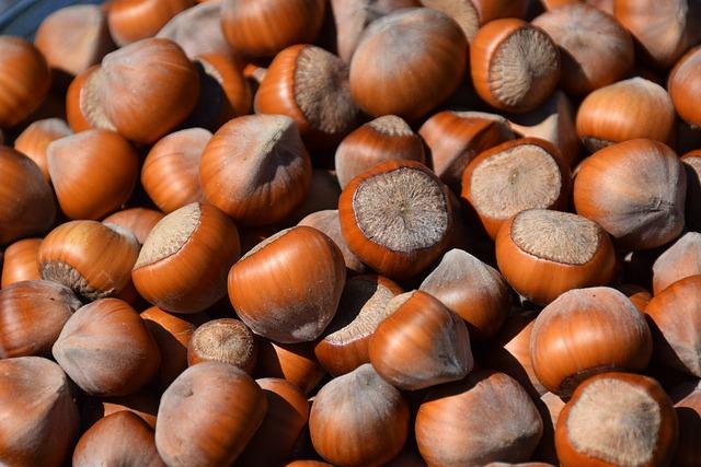 Unlocking the Secrets of Steaming and Boiling for Maximum Nutrient Retention