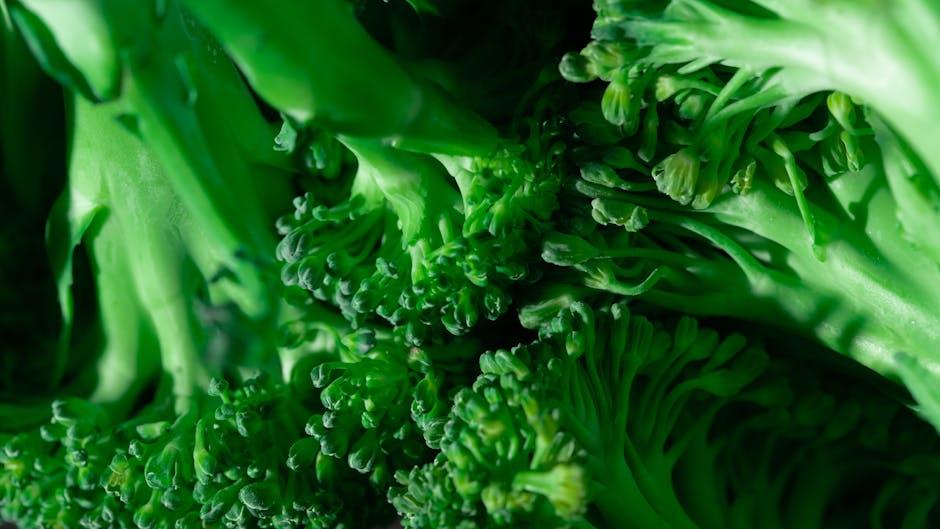 Beyond Macronutrients: Unveiling the Power of Vitamins and Minerals