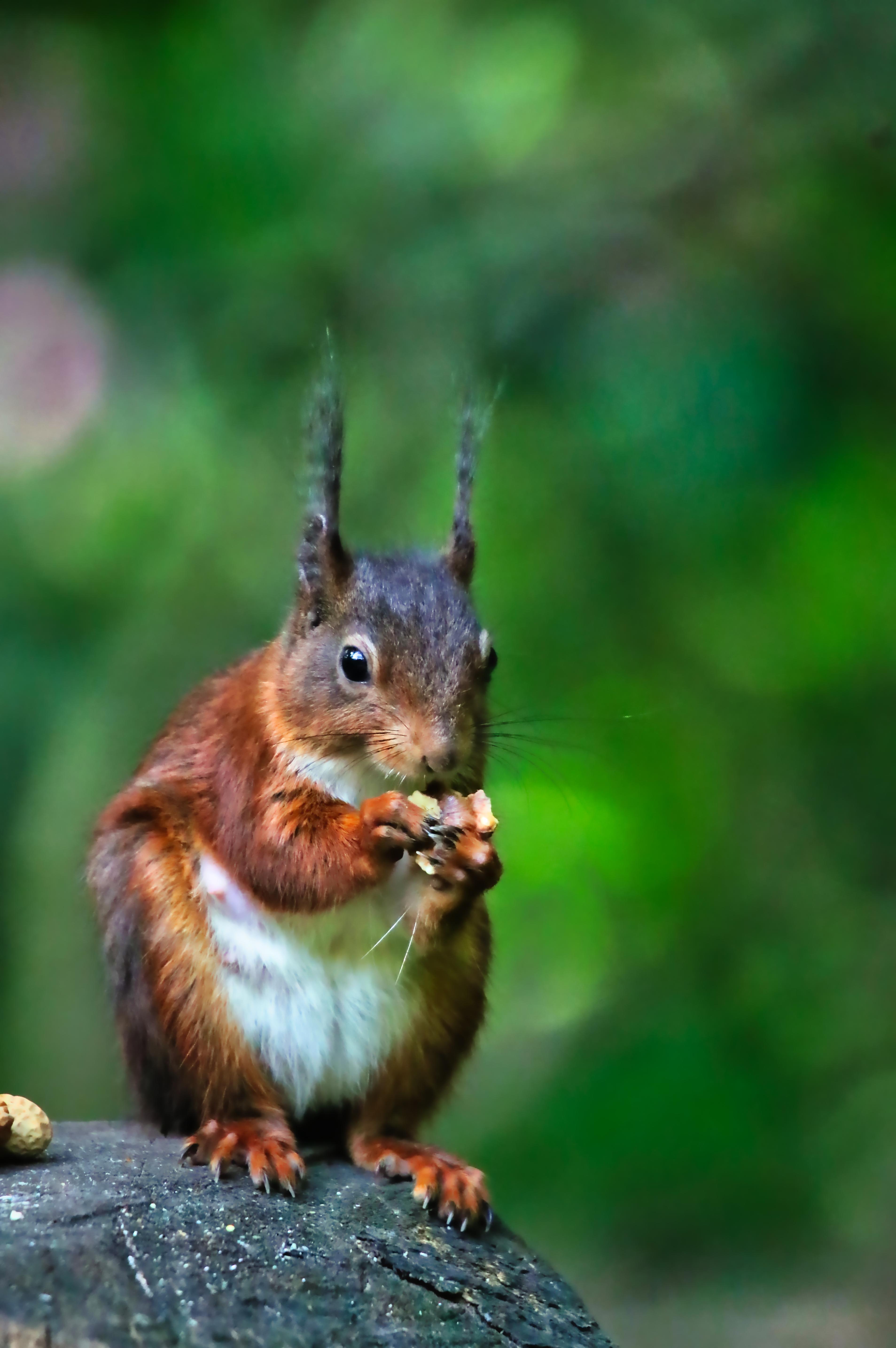 Snacks and Supplements to Enhance Focus Throughout the Day