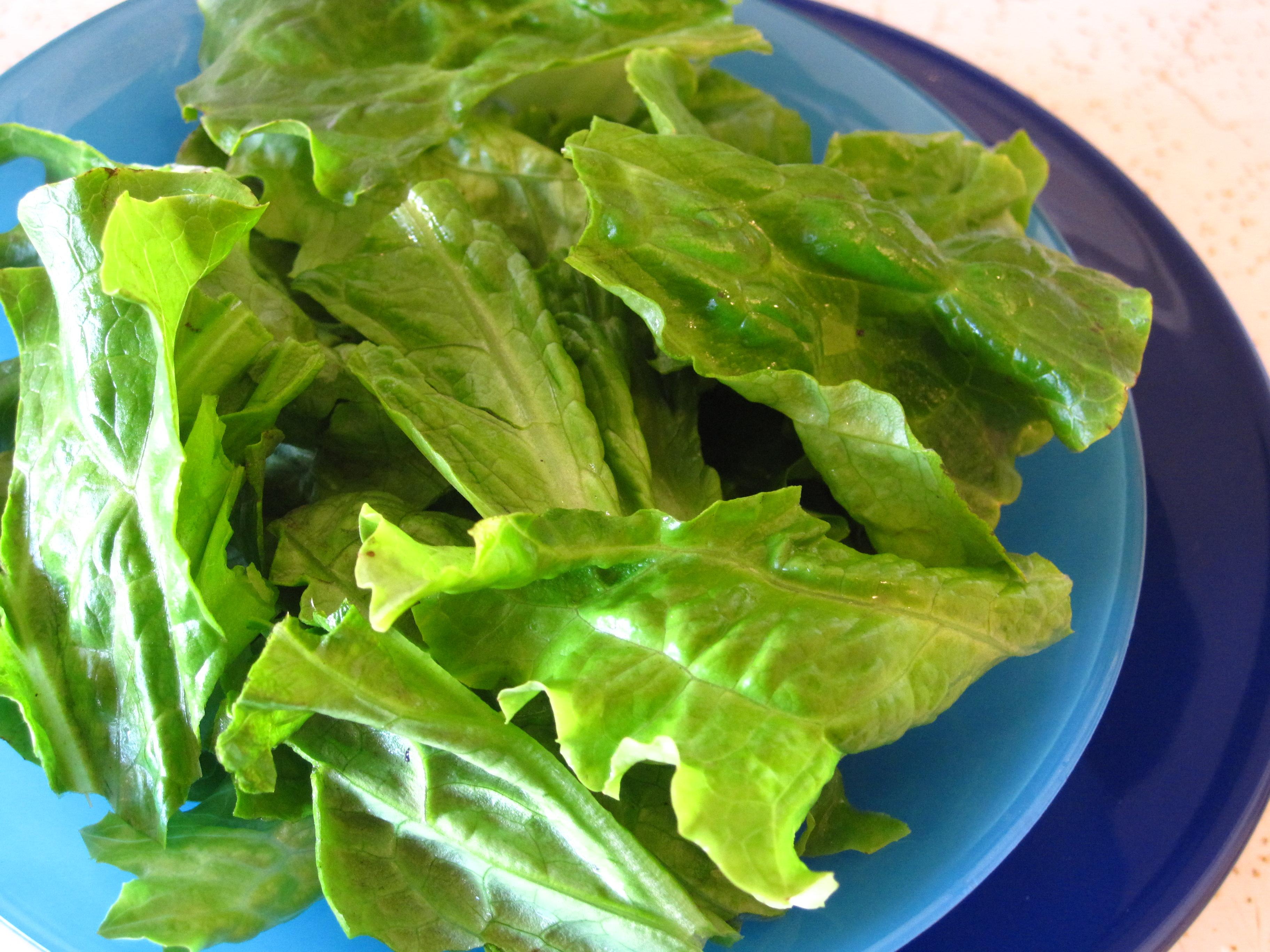 Incorporating Leafy Greens for a Health Boost