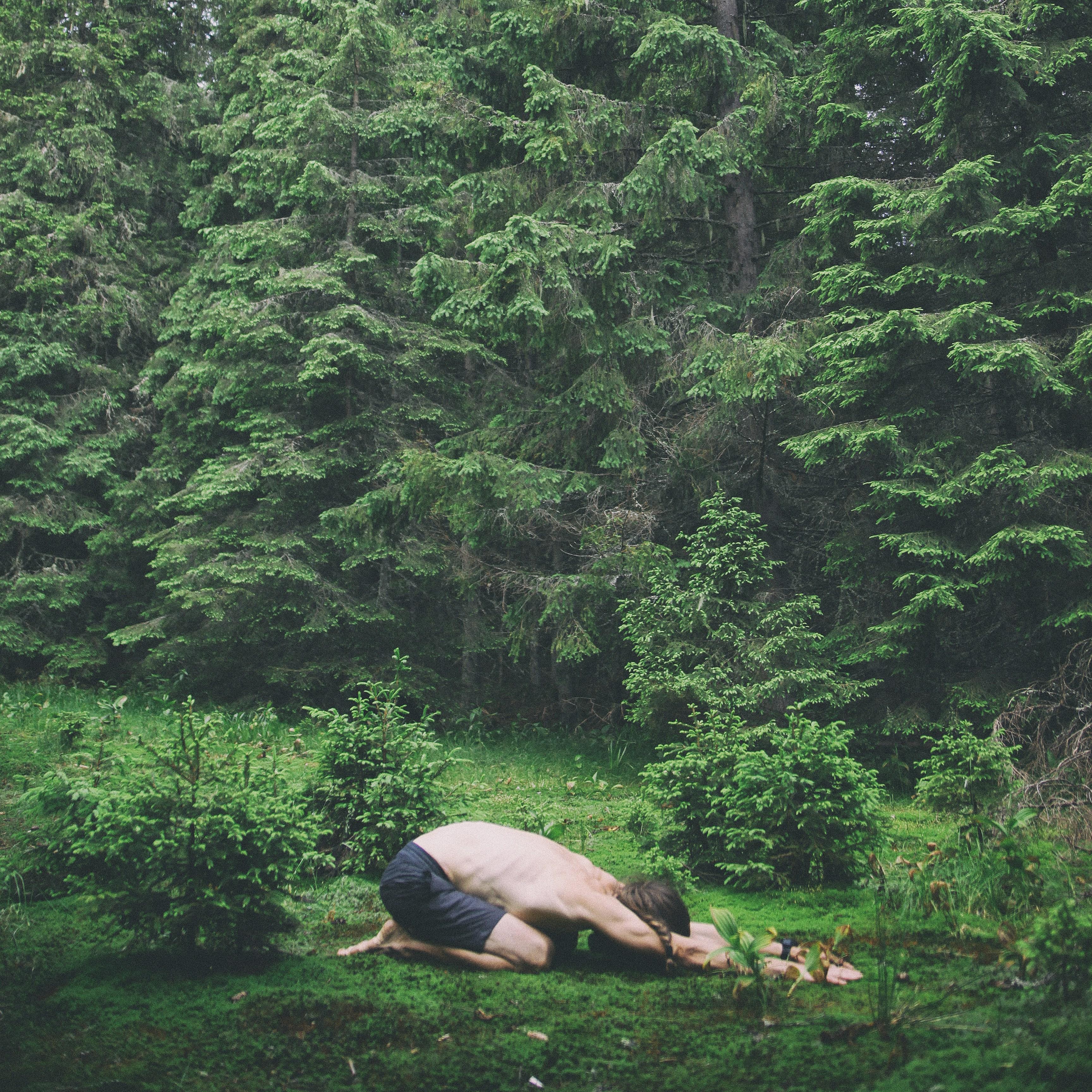 Eating for Calm: Practical‌ Dietary Tips to Combat Anxiety