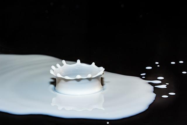 Exploring Plant-Based Alternatives to Dairy