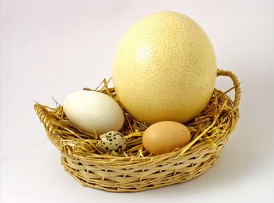 Balancing Nutrient Intake Without Dairy