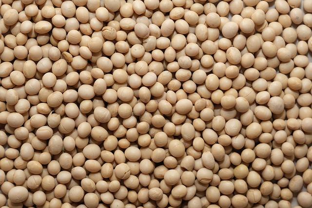 Harnessing the Strength ‍of⁤ Soy for Effective Muscle Growth